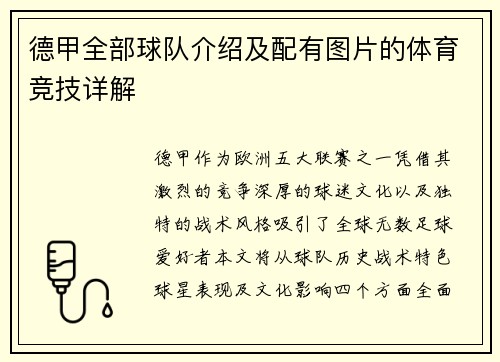 德甲全部球队介绍及配有图片的体育竞技详解